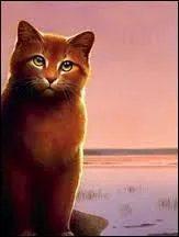 Qui est son premier lieutenant ?