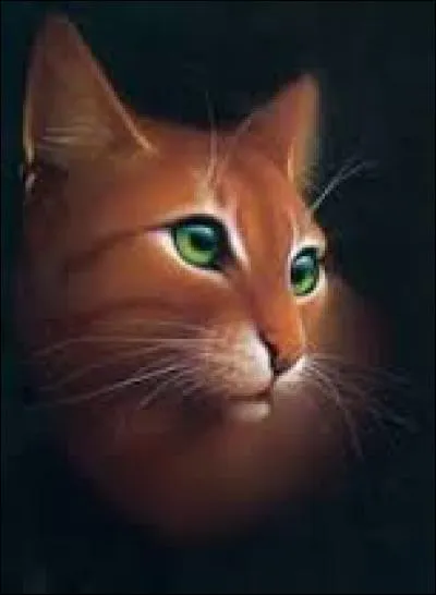 Comment son frère s'appelle-t-il ?