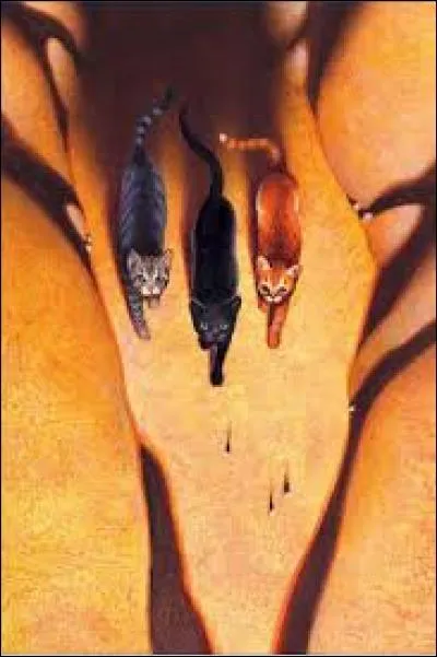 Combien a-t-elle de petits ?