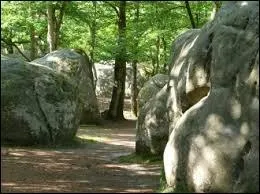 Quelle forêt domaniale de Seine-et-Marne, autrefois appelée forêt de Bière, a inspiré les peintres paysagistes de l'Ecole de Barbizon au XIXe siècle ?