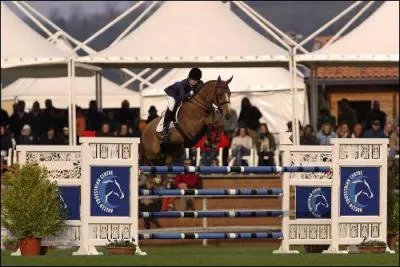 Quelle est cette discipline équestre ?