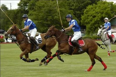 Quelle est cette discipline équestre ?