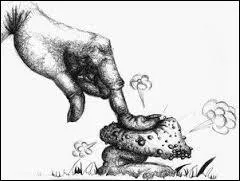 Que se passe-t-il quand on appuie sur le champignon ?