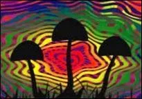 "Les champs étaient humides et suffisamment acides, c'était le bon moment pour aller cueillir des champignons". 
Quel groupe chantait "Mangez-moi ! Mangez-Moi ! " durant l'été 1994 ?