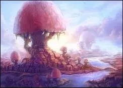 Qu'est-ce qui caractérise une ville champignon ?