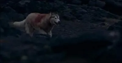 Quelle chanson vous rappelle cette image ?