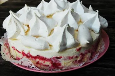 Envie d'un dessert glacé composé de meringues, garni de glace et couvert de crème Chantilly. ?