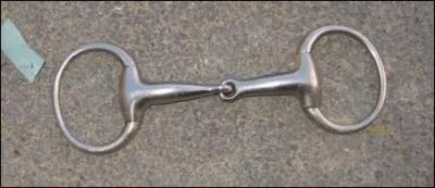 Comment appelle-t-on ce mors ?