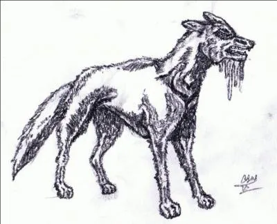 Quelle est cette créature ?