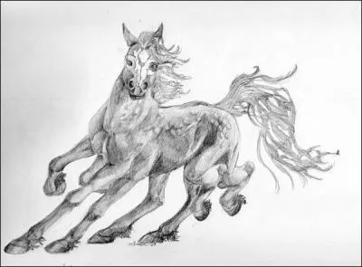 Quelle est cette créature ?