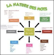 « Venez plutôt le matin car l'après-midi, je risque de devoir m'absenter. » Quelle est la nature grammaticale (la classe grammaticale) du mot « plutôt » ?