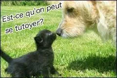 Complétez : «Dorénavant, vous le  »