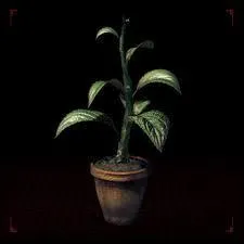 À présent, dix questions sur l'équipement de Leon. Que Leon doit-il ingérer pour augmenter sa santé maximale ?