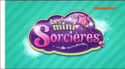 Sur quelle chaîne peut-on voir cela ?