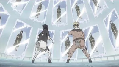 Comment s'appelle cette technique ?