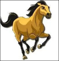 Comment est le mustang ?