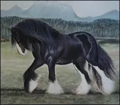 D'où vient le Shire ?