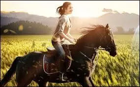 De quelle couleur est la robe de Flicka ?