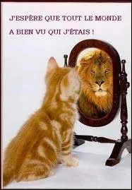 Lequel de ces synonymes d'orgueil n'est pas un défaut ?