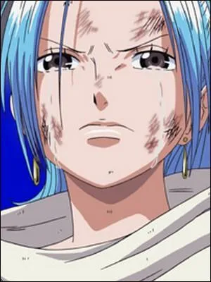 Épisode 115 - Une fois entrée dans la ville fortifiée d'Alubarna, Vivi fait part de son plan à Chaka : elle veut __________ pour __________.