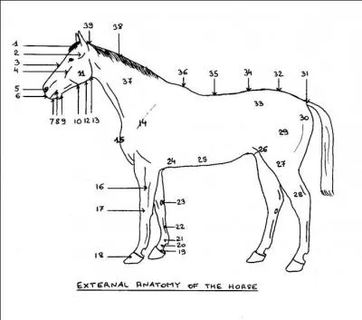 Quelles sont les parties 37 et 38 ?