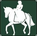 Quelle est cette discipline équestre ?