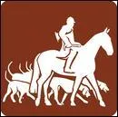 Quelle est cette discipline équestre ?