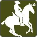 Quelle est cette discipline équestre ?