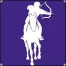 Quelle est cette discipline équestre ?