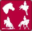 Quelle est cette discipline équestre ?