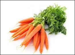 Il paraît qu'elle donne les fesses roses et qu'elle rend aimable. La carotte est :