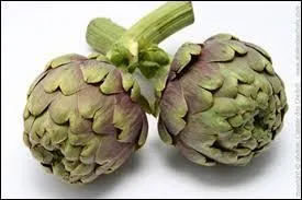 Il en reste plus dans l'assiette quand on a fini, c'est l'artichaut. Mais quelle partie mangeons-nous ?