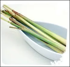 La citronnelle apporte un parfum d'Orient à vos plats et chasse les moustiques. Quelle partie utilise-t-on ?