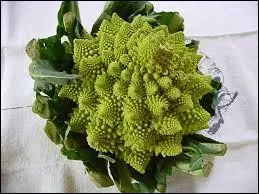 Il existe de multiples variétés de choux mais le préféré des mathématiciens est sans aucun doute le chou romanesco avec sa forme géométrique (fractale) parfaite. Quelle partie mangeons-nous ?