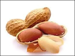 La cacahuète se consomme grillée, salée... et se récolte au pied de l'arachide.
C'est :