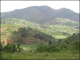 Géographie - Quel pays est surnommé "Le pays des 1000 collines" ?