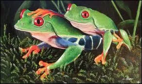 Sur la route, en Belgique, quel est le danger signalé par la mention "grenailles errantes" ?