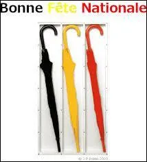 Qu'appelle-t-on la "drache" en Belgique ?