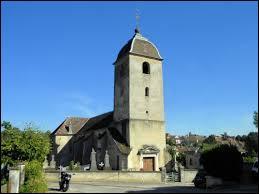 Le village Haut-Saônois de Beaumotte-les-Pins se situe en région ...