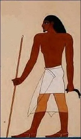 Quel est un des grands principes dans la représentation humaine ?