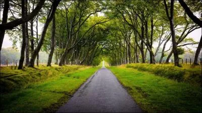 Mais bien sûr, le quizz porte tout de même sur les chemins les plus courts. Alors, parmi ces deux chemins, le plus court serait inévitablement...
limoges angouleme