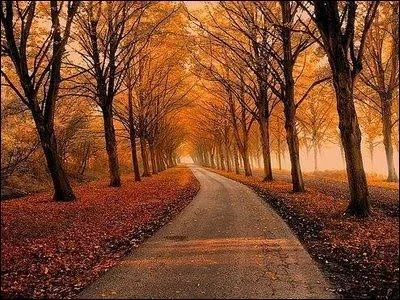 En ville, le chemin le plus court est-il forcément le plus rapide ?