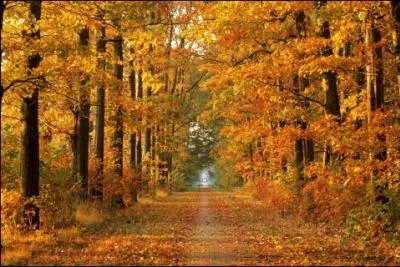 Deux couples prennent l'avion. Un couple part de Paris pour aller à New York et l'autre couple part de Moscou pour aller à Tokyo. Les deux couples ne font aucune escale. Le couple qui arrivera à sa destination en premier est...