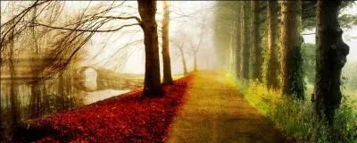 J'habite à Rio de Janeiro (Brésil). Je décide d'aller en vacances en prenant l'avion. Mes parents me proposent trois destinations. Quelle destination devons-nous prendre pour économiser du temps ?