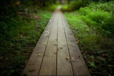En terme de temps, un trajet en avion est-il plus long avec des escales ?