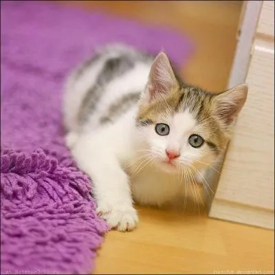 Vous êtes "décidé" ! Remplacez la lettre ... et revenez au calendrier républicain avec ses mois divisés en trois périodes de dix jours !