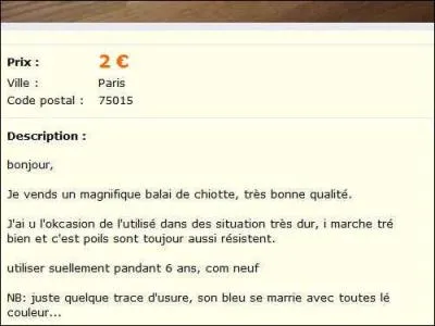 La femme est l'avenir de l'homme... '