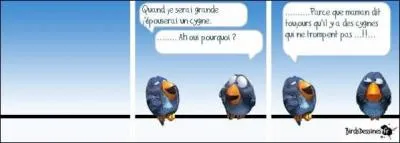 Le lac des cygnes, est... '