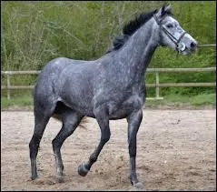 Quelle est cette robe ?