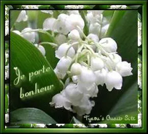 Le muguet porte bonheur, mais toutefois il est toxique :
